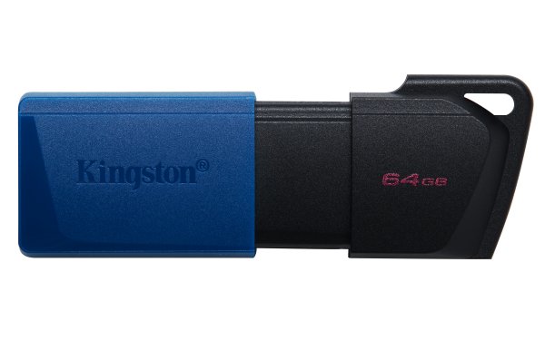 Kingston DataTraveler 64GB USB 3.2 Gen 1 USB stick svart Blå