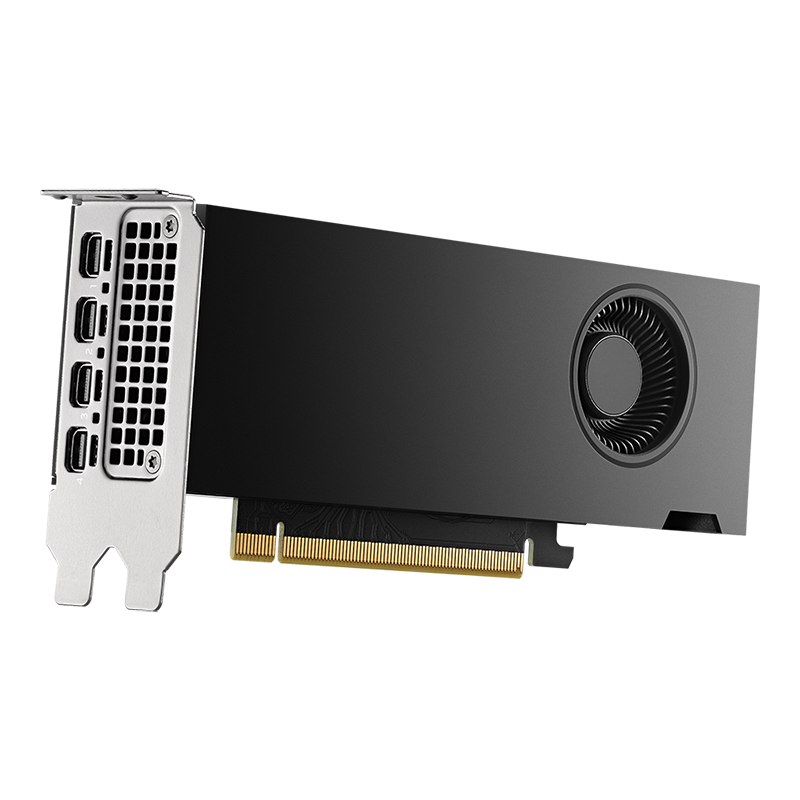 NVIDIA NVIDIA RTX 2000 Ada 16GB GDDR6 SDRAM