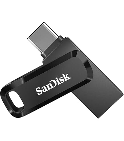 SanDisk Phone 256GB USB 3.2 Gen 1 / USB-C USB stick svart