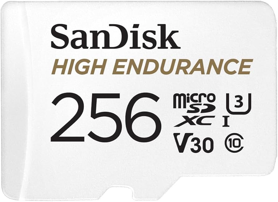 SanDisk High Endurance microSDXC 256GB 100MB/s