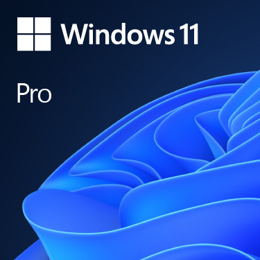 Windows 11 Pro Polsk